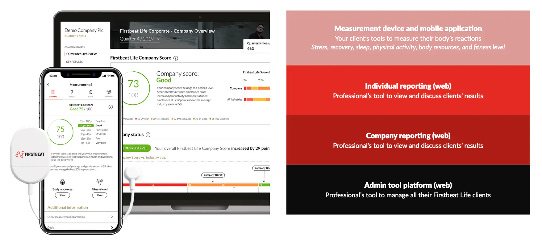 Visualisierung der Firstbeat-Life-Lösung für HRV-Analysen